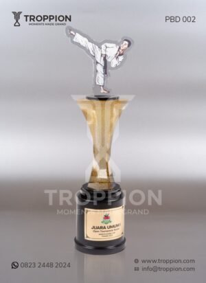 Piala Juara Umum 1 Open Tournament Karate Sawerigading Cup