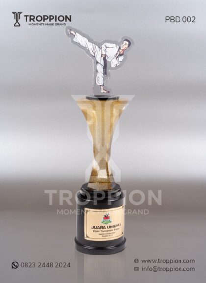 PBD 002 Piala Juara Umum 1 Open Tournament Karate Sawerigading Cup
