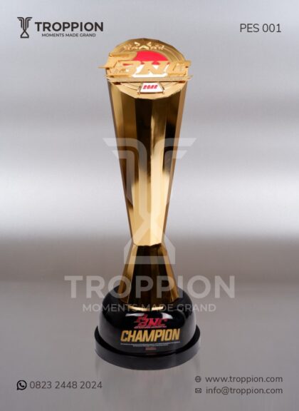 PES 001 Piala PBNC Champion