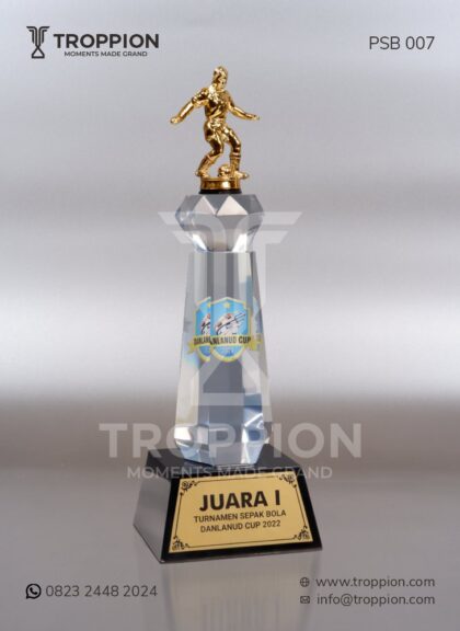 PSB 007 Piala Juara 1 Turnamen Sepak Bola Danlanud Cup