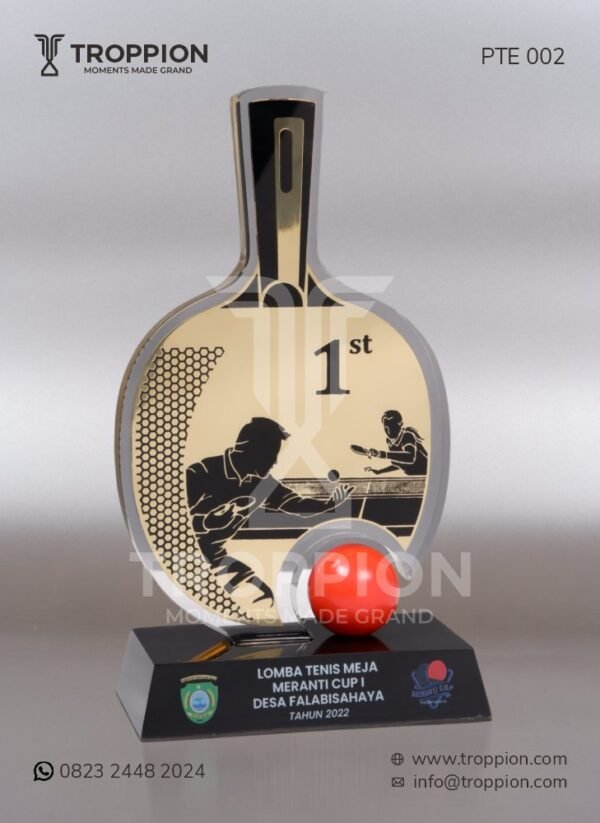 PTE 002 Piala Lomba Tenis Meja Meranti Cup I Desa Falabisahaya