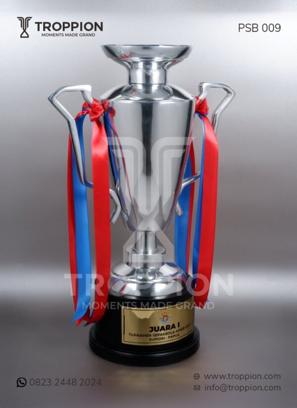 PSB 009 Piala Olahraga Turnamen Sepak Bola Apuse Cup 1 Supiori Papua