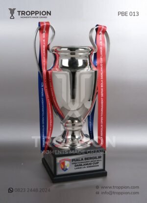 Piala Bergilir Tournament Sepak Bola Danlanud Cup